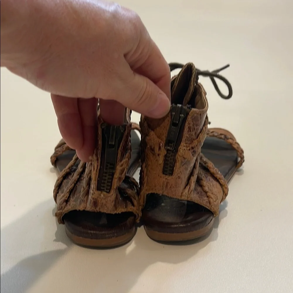 Roan Brown Gladiator Sandals